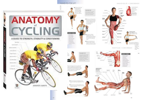 ANATOMY OF CYCLING